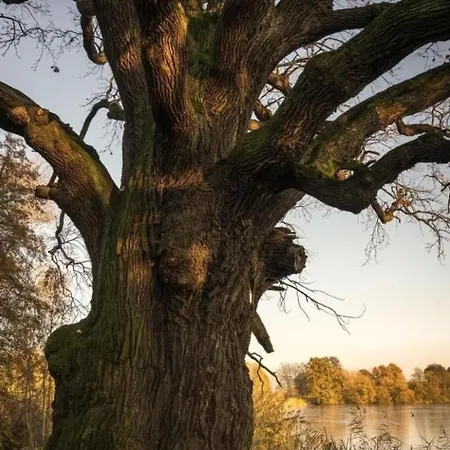 Mit Fasssauna By Interhome Апартаменты