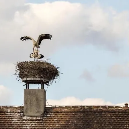 Mit Fasssauna By Interhome Апартаменты Malschwitz