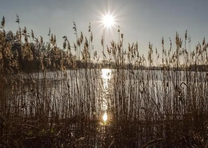 Mit Fasssauna By Interhome شقة