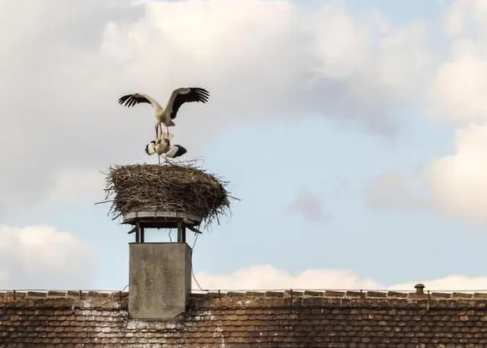 Mit Fasssauna By Interhome شقة Malschwitz