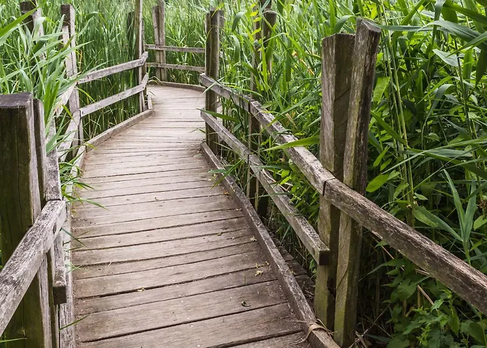 Mit Fasssauna By Interhome Apartment